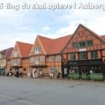 5 ting du skal opleve i Aalborg
