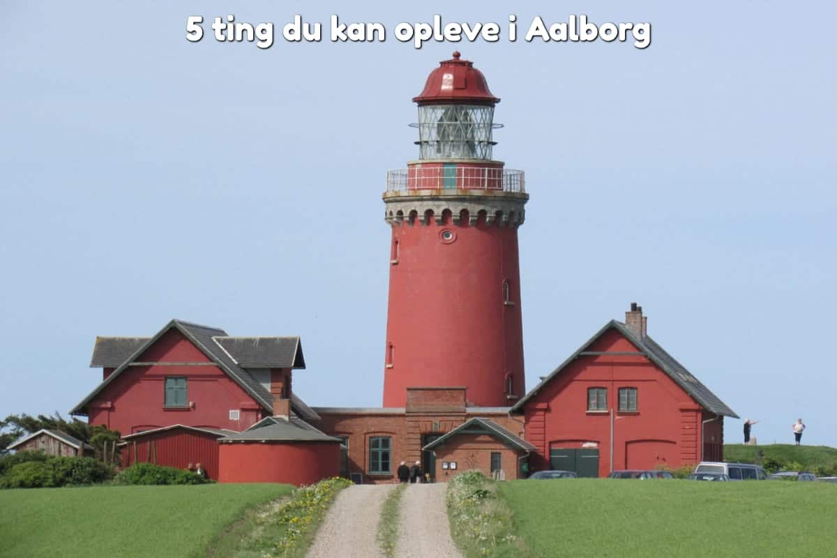 5 ting du kan opleve i Aalborg